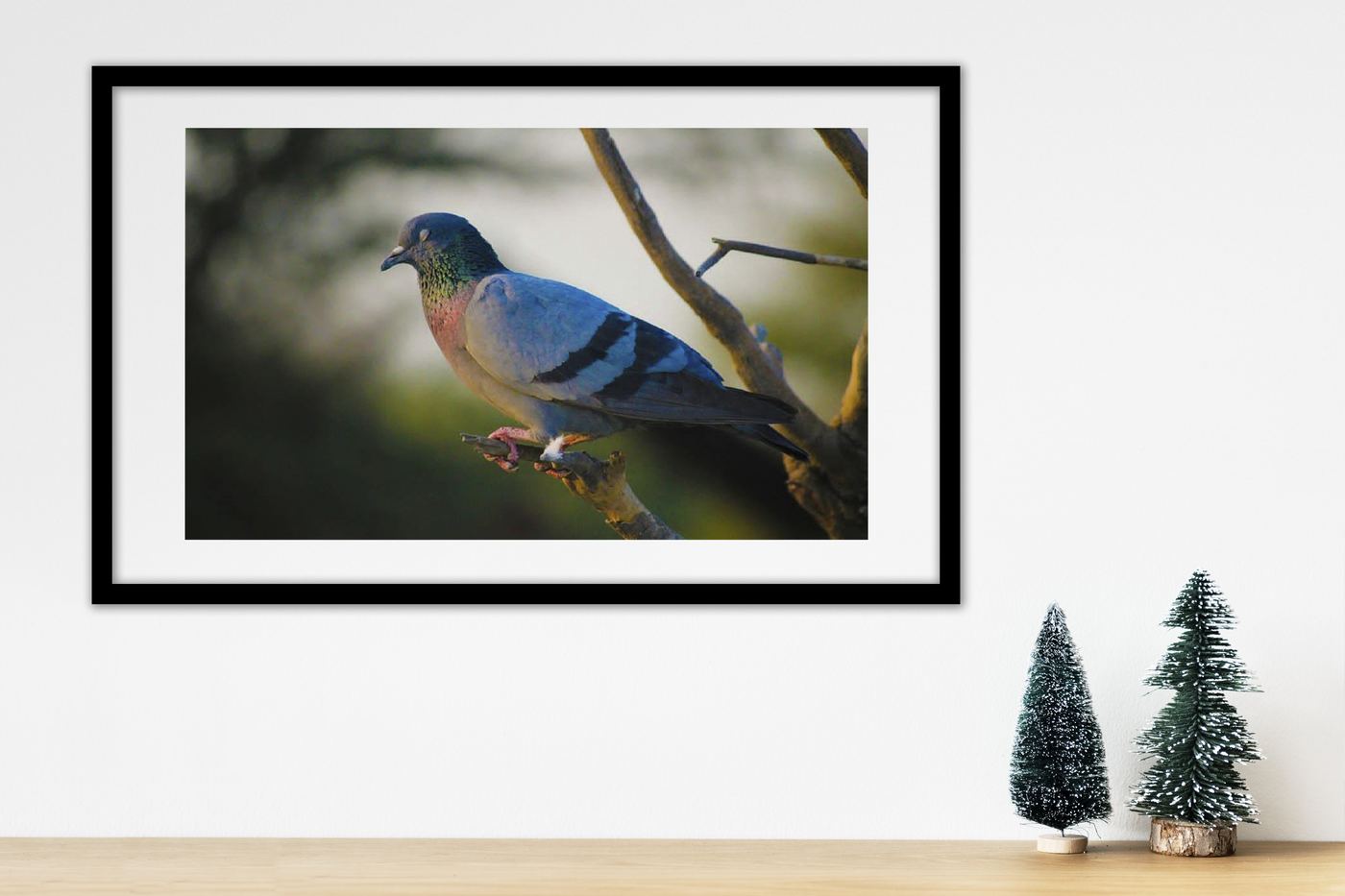 Professional photography work — creative visual photography by Creativeskroll